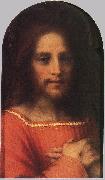 Andrea del Sarto Christ the Redeemer ff France oil painting artist